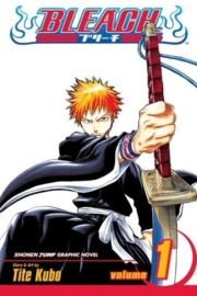 Bleach Vol.1