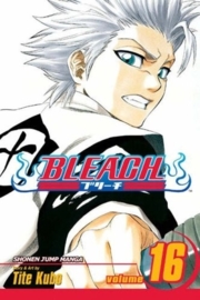 Bleach Vol.16