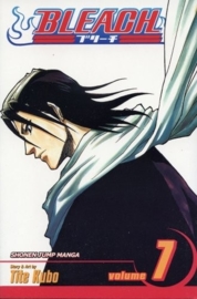 Bleach Vol.7