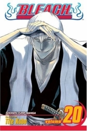 Bleach Vol.20