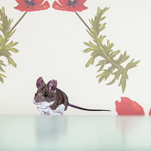 Bosmuis | Muur-, Camperstickers