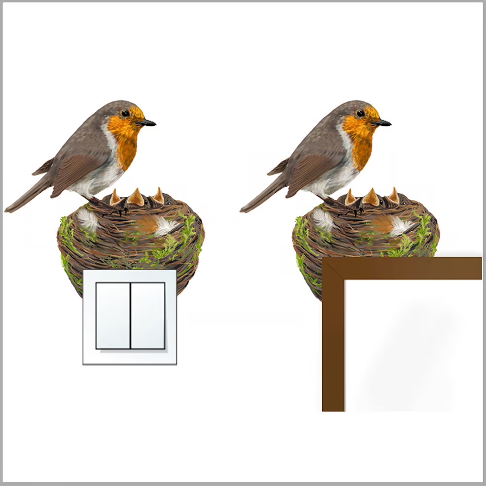 Roodborst met nest | Muur-, Campersticker