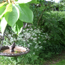 Cast iron hanging bird bath