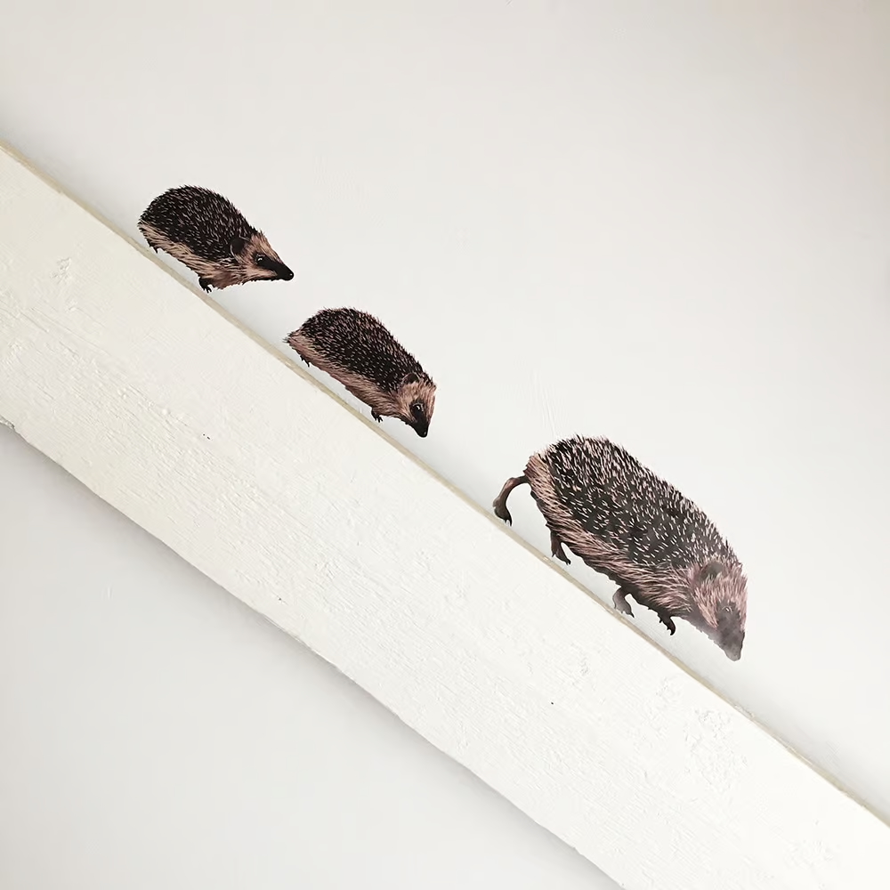 Egel | Muur-, Camperstickers