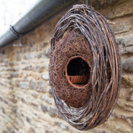 Nestkrans Roodborst