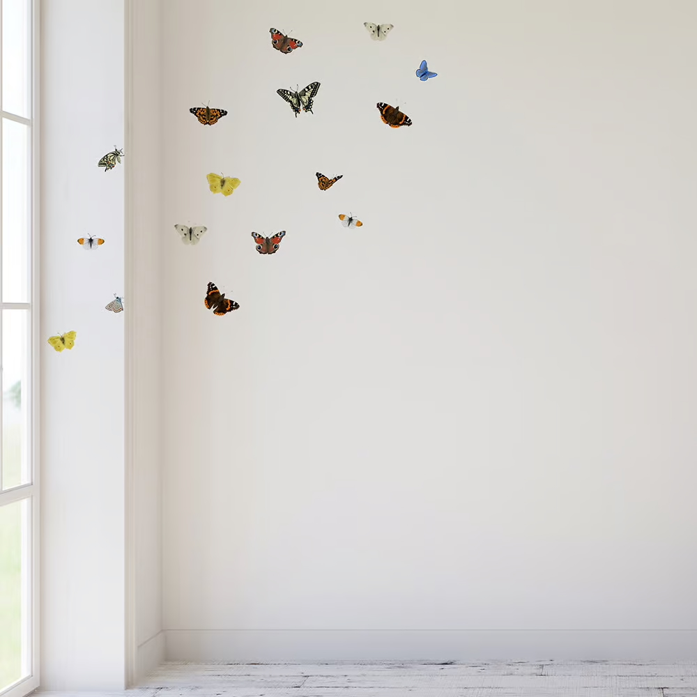 Vlinders | Muur-, Camperstickers