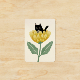 Note card | Surprise