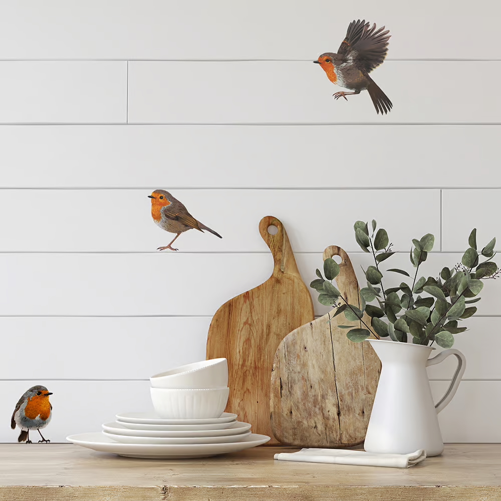 Roodborst | Muur-, Camperstickers