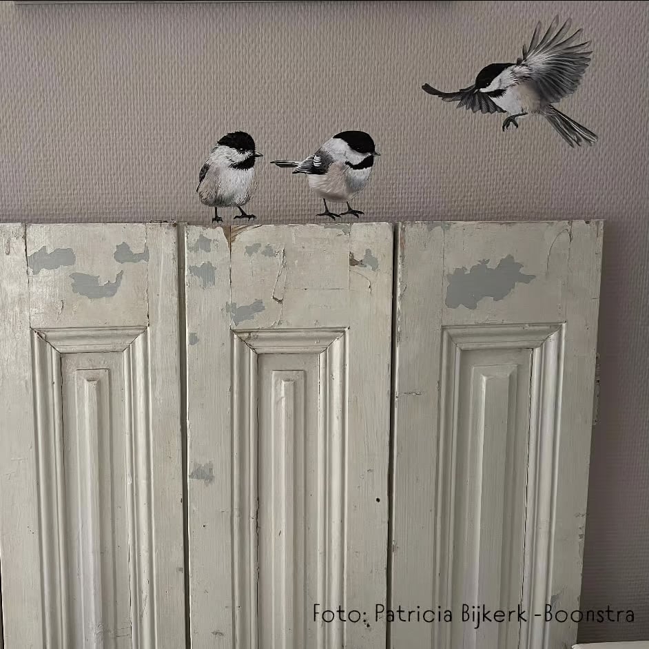 Matkop Mees | Muur-, Camperstickers