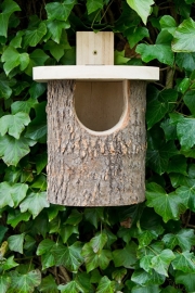 Roodborst  nestkast