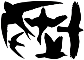 5 Bird silhouette window stickers