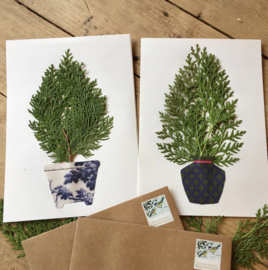 Herbarium Vazen Nr. 2 'Memphis'