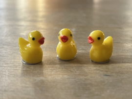 Eendjes magneet set 5 stuks
