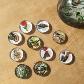 10 Dekomagneten Glas Ø 3cm, set 1