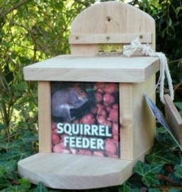 Squirrel feeder