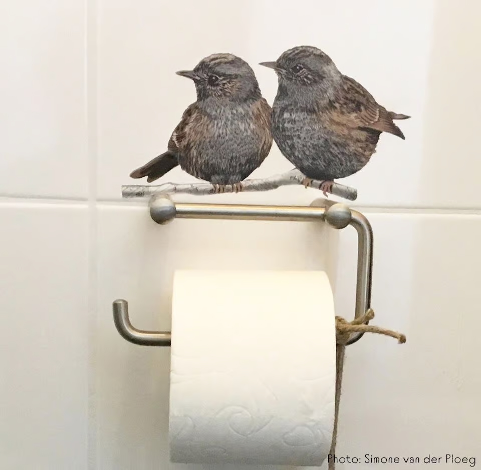 Vogels in blauw en bruin | Muur-, Campersticker