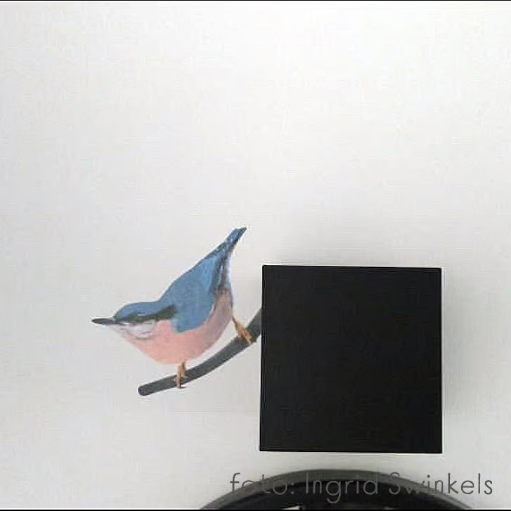 Vogels in blauw en bruin | Muur-, Campersticker