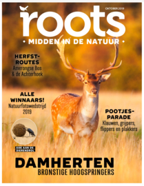 ROOTS, oktober 2019