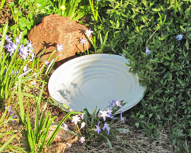 Vogelbad en insekten drinkschaal