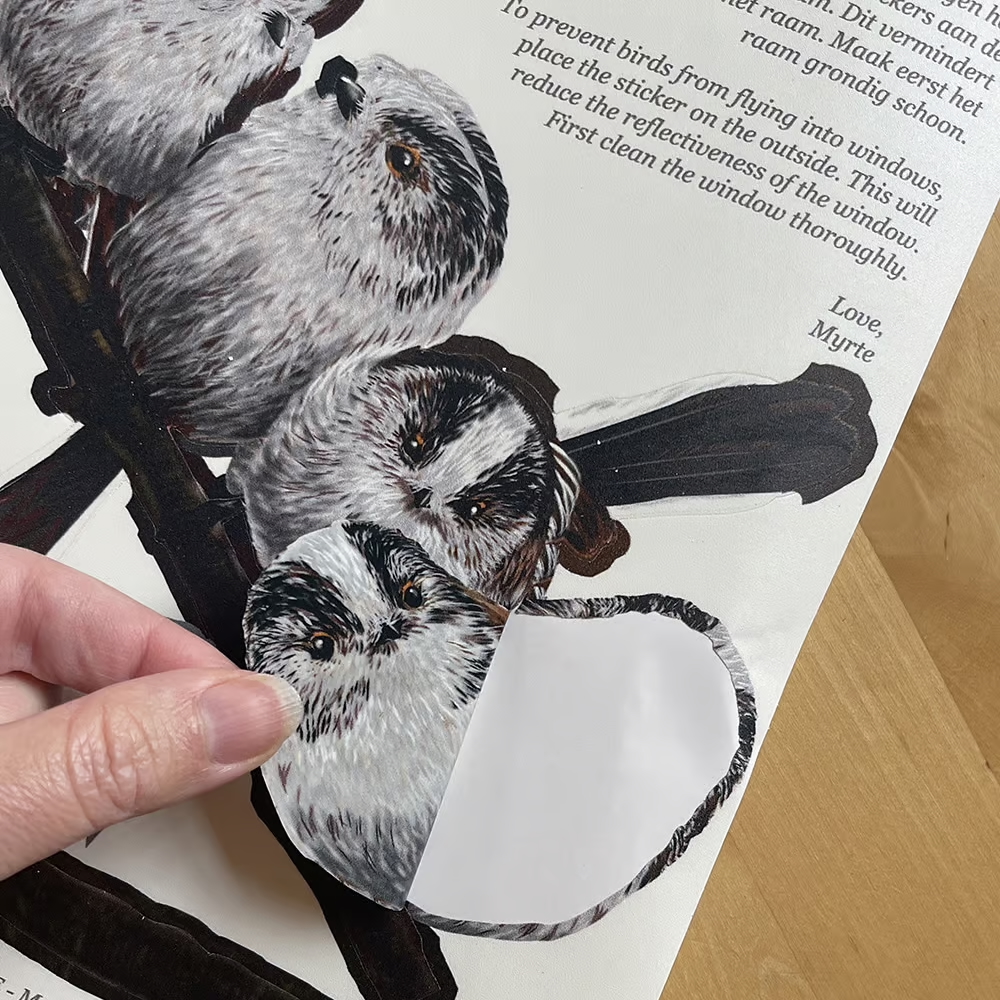 Staartmeesjes | dubbelzijdige Raamsticker