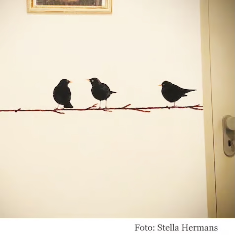 Merel | Muur-, Camperstickers