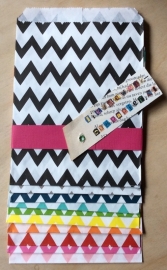 10 Gift Bags  ZIG-ZAG, 13 by 16,5 cm