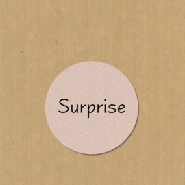 5 Surprise stickers rond 4,7 cm zand