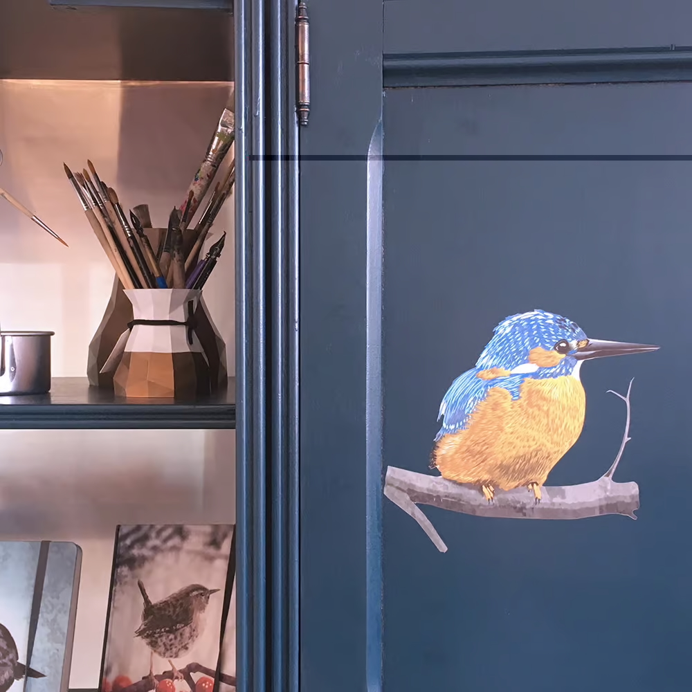 IJsvogels | Muur-, Camperstickers