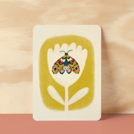 Postcard | Le papillon céleste