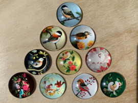 10 Glazen Vogel magneetjes Ø 2,5 cm