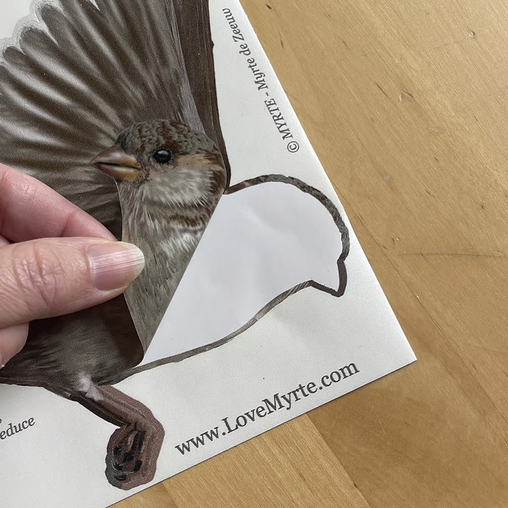 Huismussen | dubbelzijdige Raamsticker