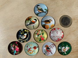 10 Glazen Vogel magneetjes Ø 2,5 cm