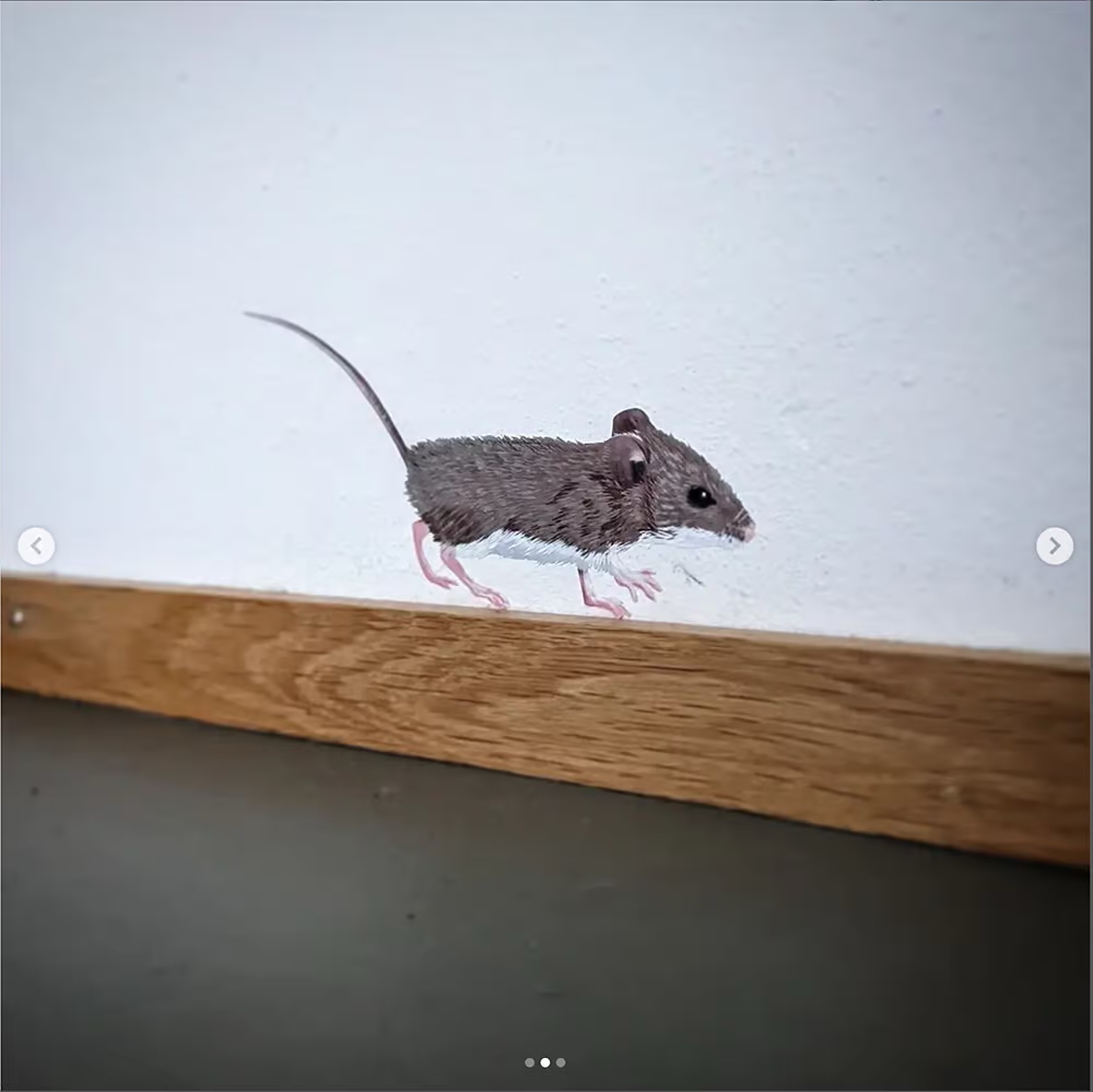 Bosmuis | Muur-, Camperstickers