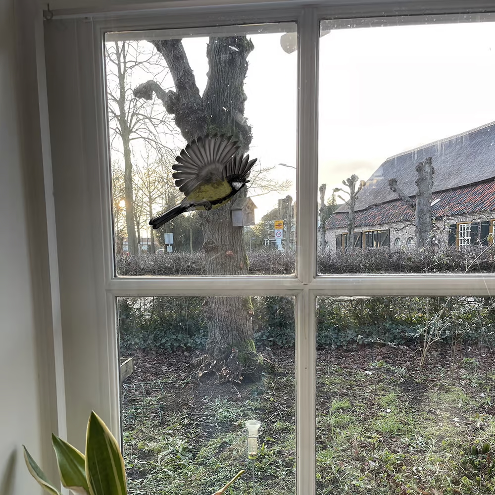 Koolmezen | dubbelzijdige Raamsticker