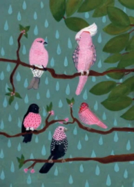 Pink Birds