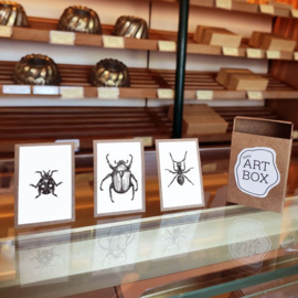 Insecten