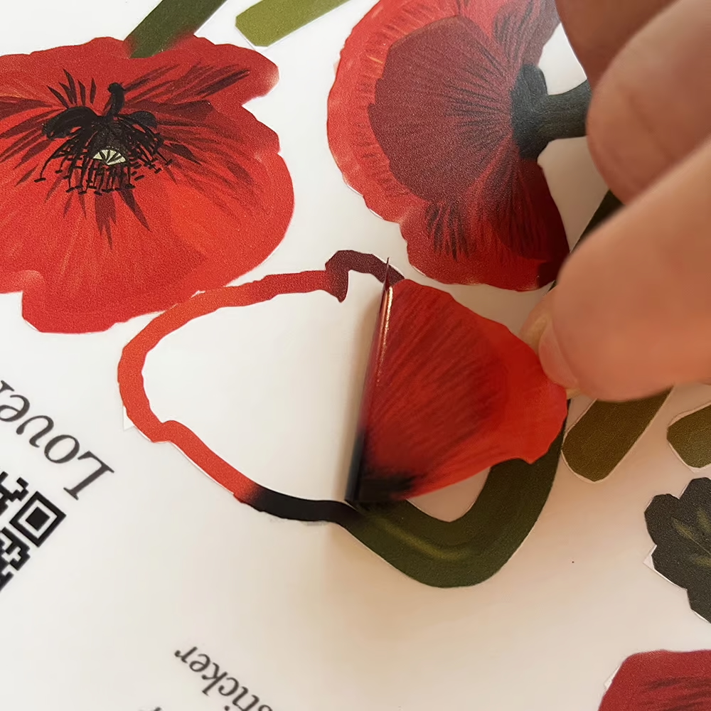 Klaprozen | dubbelzijdige Raamsticker