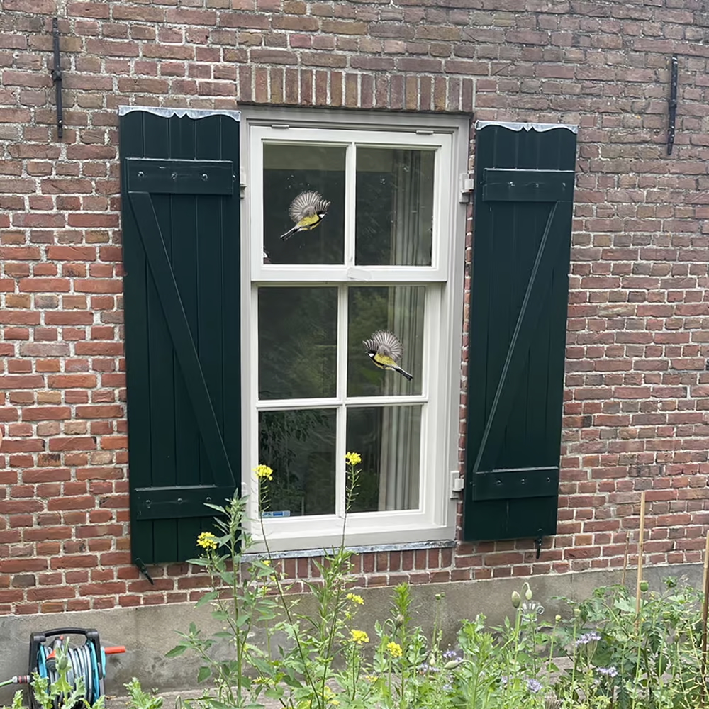 Koolmezen | dubbelzijdige Raamsticker