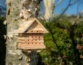 Interaktive Behausung für Solitärbienen