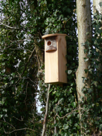 Woodpecker nestbox