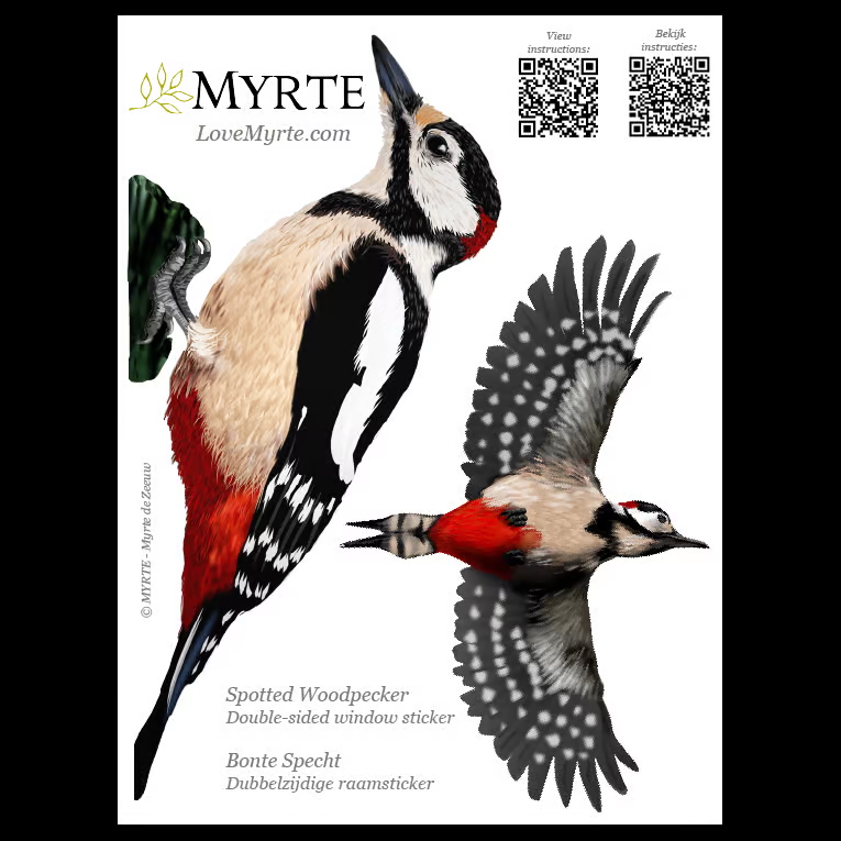 Bonte Specht | dubbelzijdige Raamsticker
