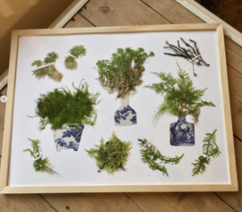 Herbarium Vazen Nr. 1 'Rotterdams blauw'