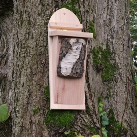 Tree Creeper nestbox