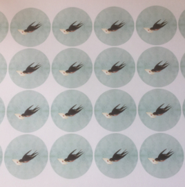 8 swallow stickers 38 MM