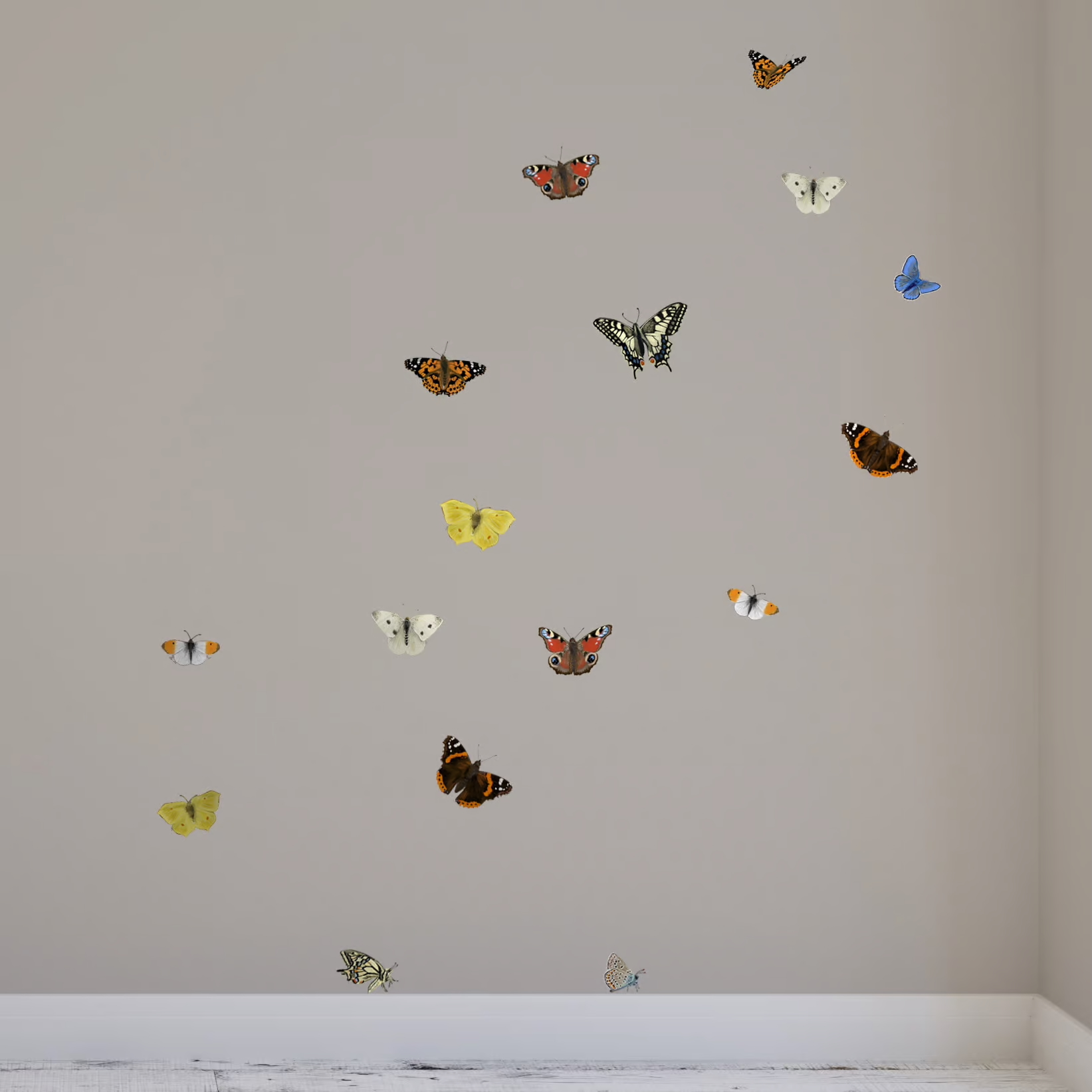 Vlinders | Muur-, Camperstickers