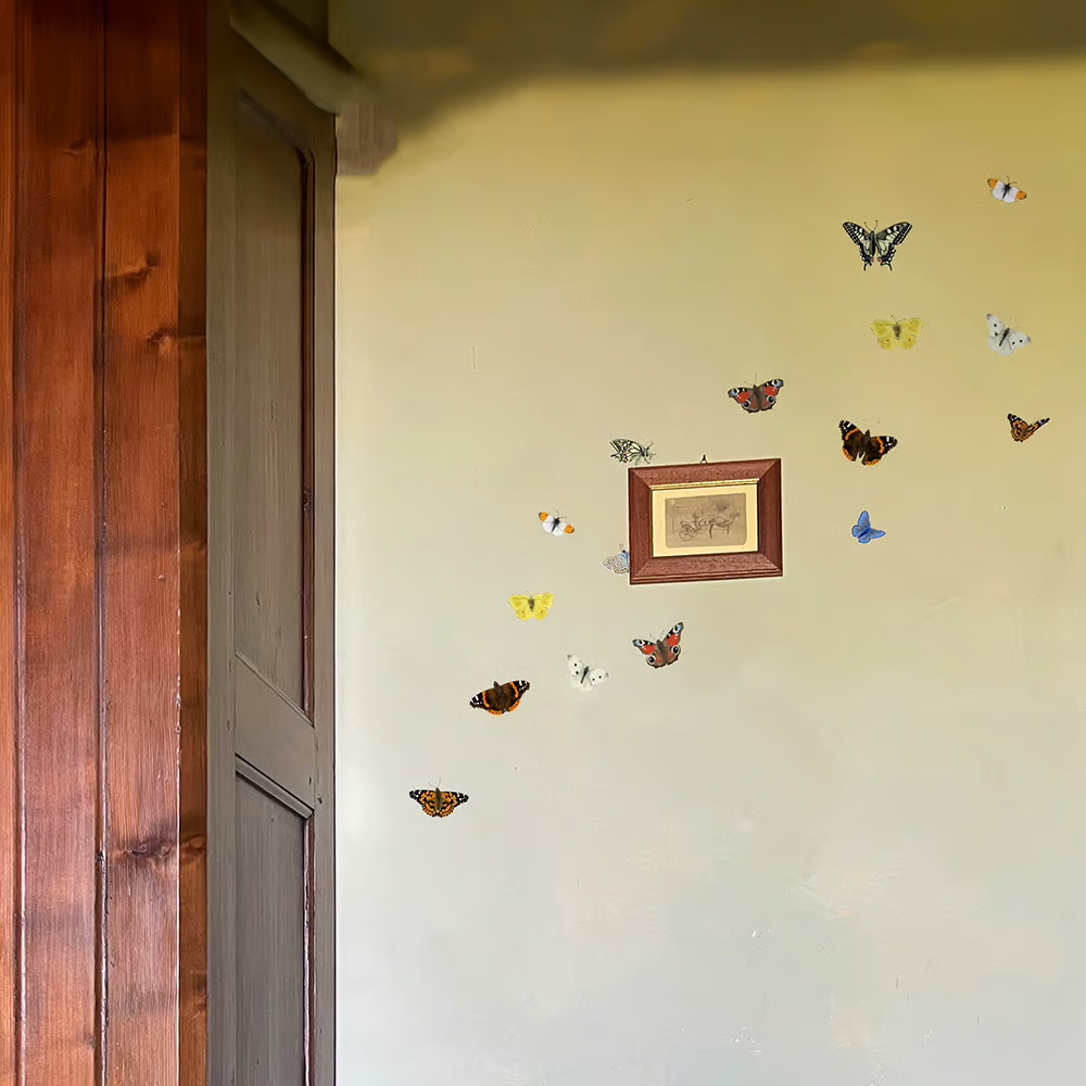 Vlinders | Muur-, Camperstickers