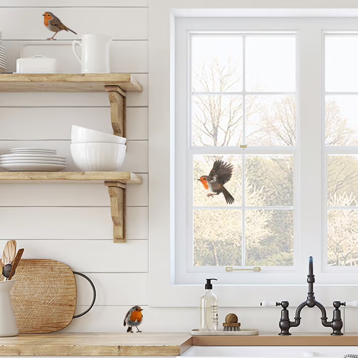 Roodborst | Muur-, Camperstickers