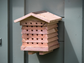 Solitary Bee Hive