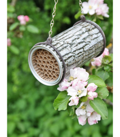  Solitary Bee Barrel