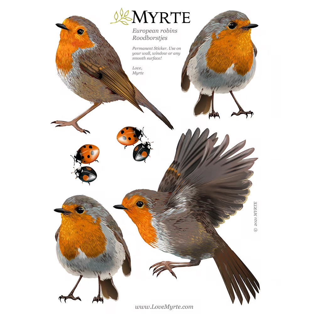 Roodborst | Muur-, Camperstickers